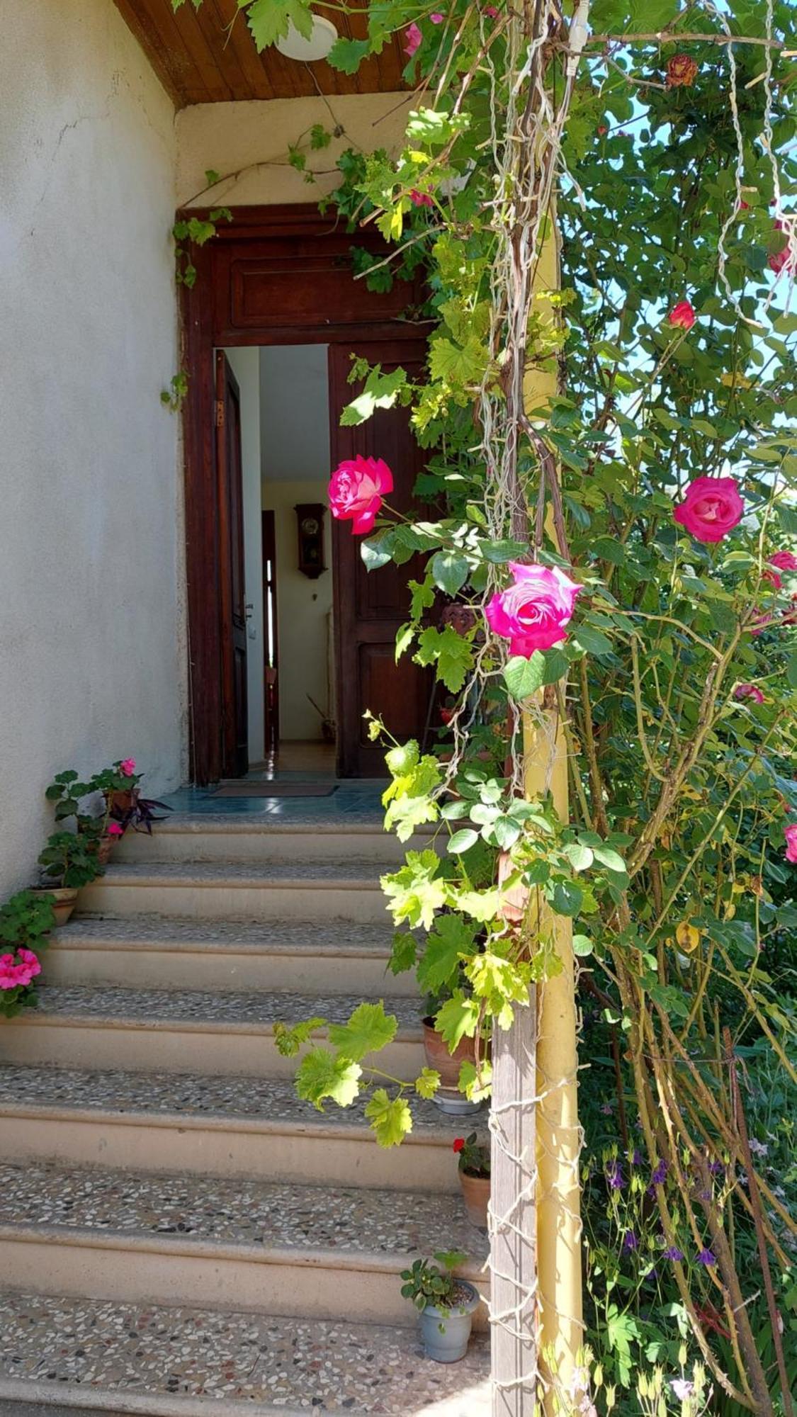 Guesthouse "Door" In Сигнахи Экстерьер фото